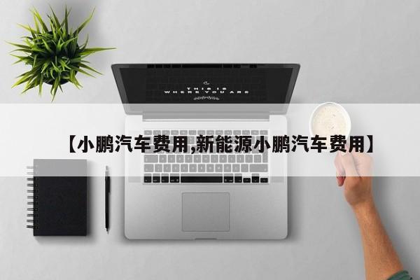 【小鹏汽车费用,新能源小鹏汽车费用】
