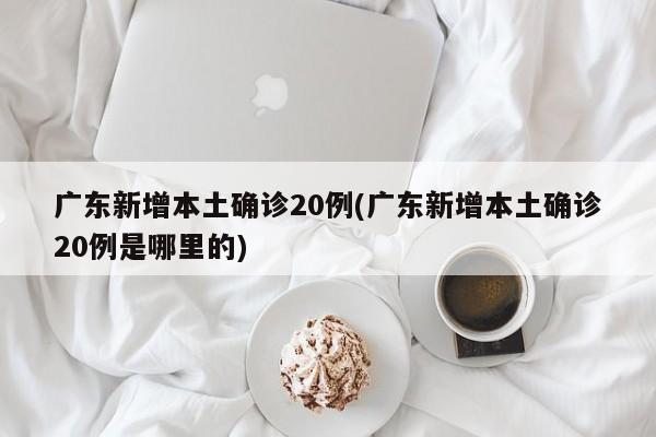 广东新增本土确诊20例(广东新增本土确诊20例是哪里的)