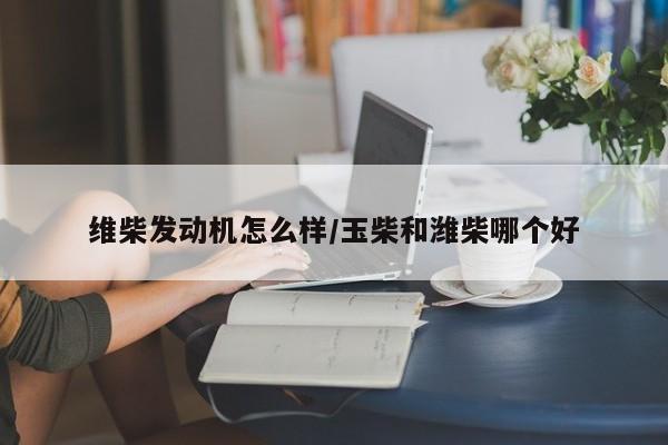 维柴发动机怎么样/玉柴和潍柴哪个好