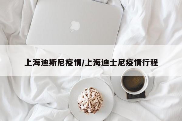 上海迪斯尼疫情/上海迪士尼疫情行程