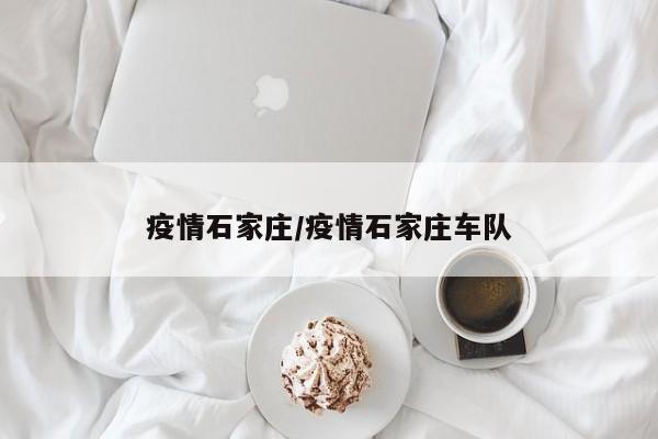 疫情石家庄/疫情石家庄车队