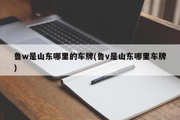 鲁w是山东哪里的车牌(鲁v是山东哪里车牌)