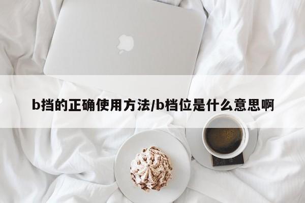 b挡的正确使用方法/b档位是什么意思啊