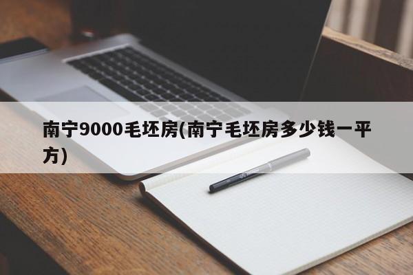 南宁9000毛坯房(南宁毛坯房多少钱一平方)