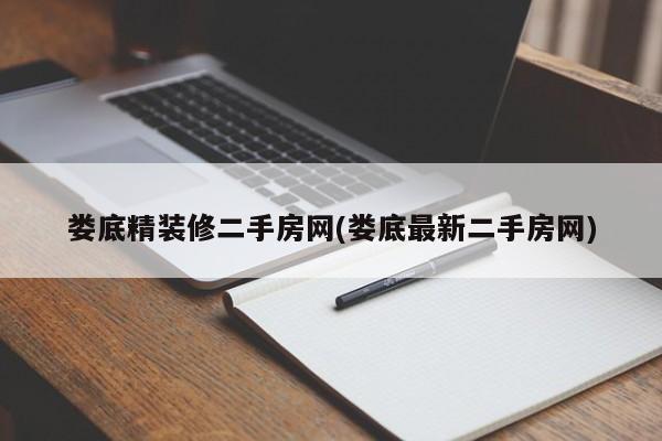 娄底精装修二手房网(娄底最新二手房网)