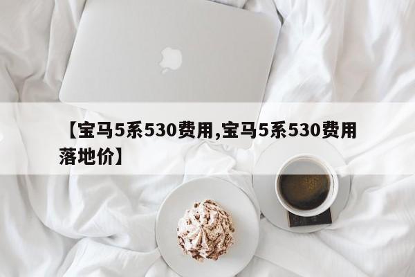 【宝马5系530费用,宝马5系530费用落地价】