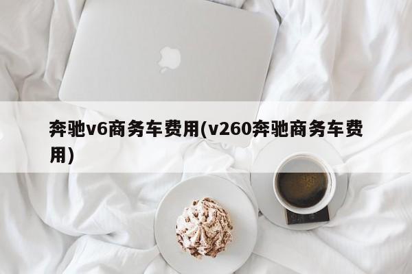 奔驰v6商务车费用(v260奔驰商务车费用)