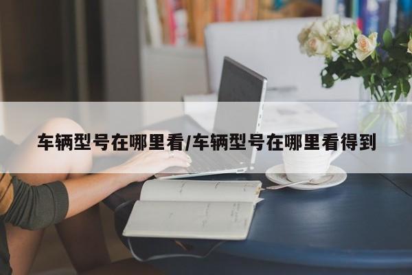 车辆型号在哪里看/车辆型号在哪里看得到