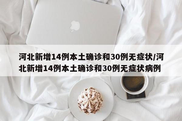 河北新增14例本土确诊和30例无症状/河北新增14例本土确诊和30例无症状病例