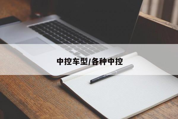 中控车型/各种中控