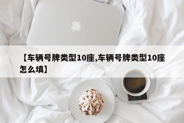 【车辆号牌类型10座,车辆号牌类型10座怎么填】