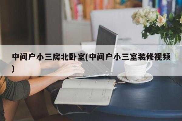 中间户小三房北卧室(中间户小三室装修视频)
