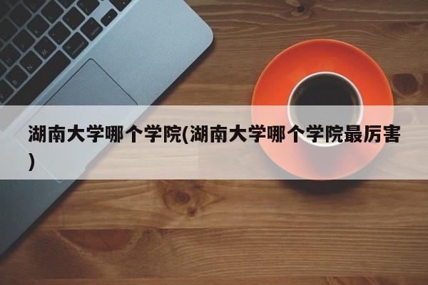 湖南大学哪个学院(湖南大学哪个学院最厉害)