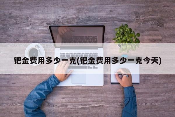 钯金费用多少一克(钯金费用多少一克今天)