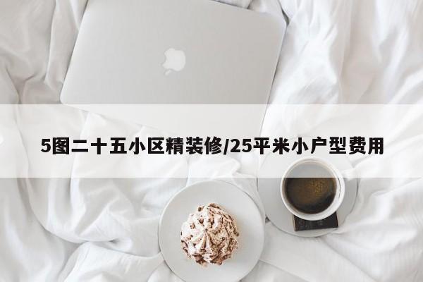 5图二十五小区精装修/25平米小户型费用