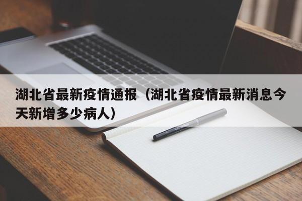 湖北省最新疫情通报(湖北省疫情最新消息今天新增多少病人)